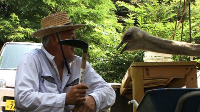 ダチョウと松村さん２